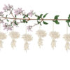 Dekohänger 6 teilig Marienkäfer hängt an einer Blume. Aus Sperrholz gefertigt aus dem Erzgebirge